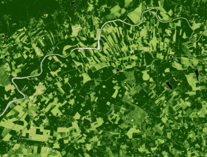 Imagen NDVI adquirida por el satélite Sentinel-2 L2A (Programa Copernicus, 2025). Licencia: Copernicus Open Access Data Policy
