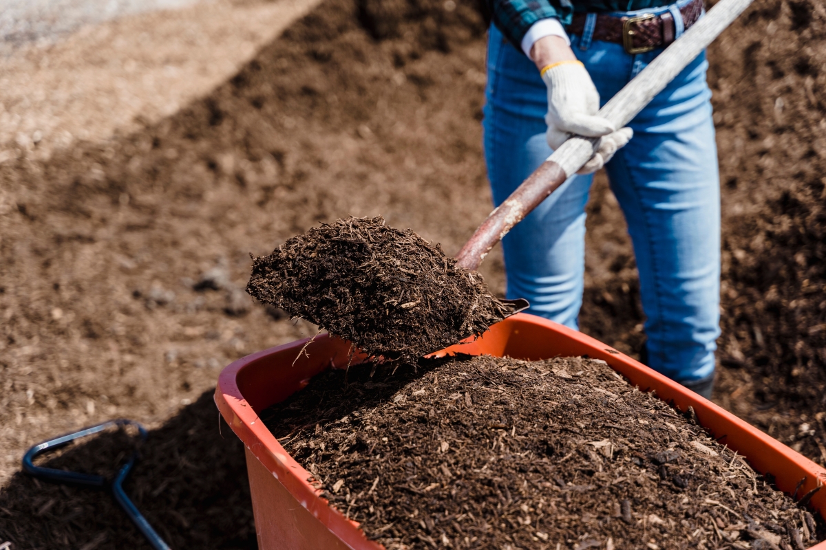 Materia orgánica en agricultura: más allá de un simple fertilizante